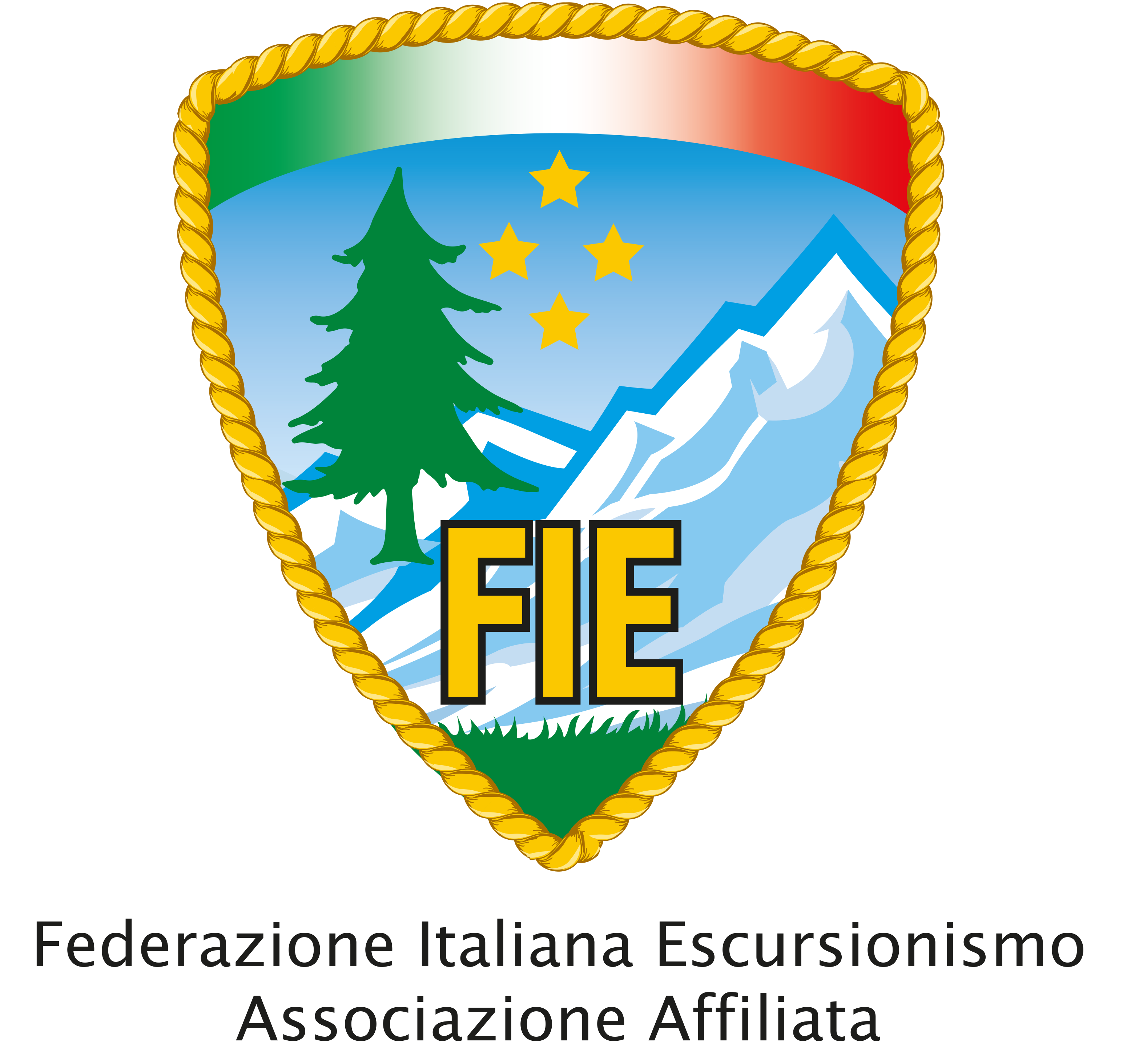 Logo FIE